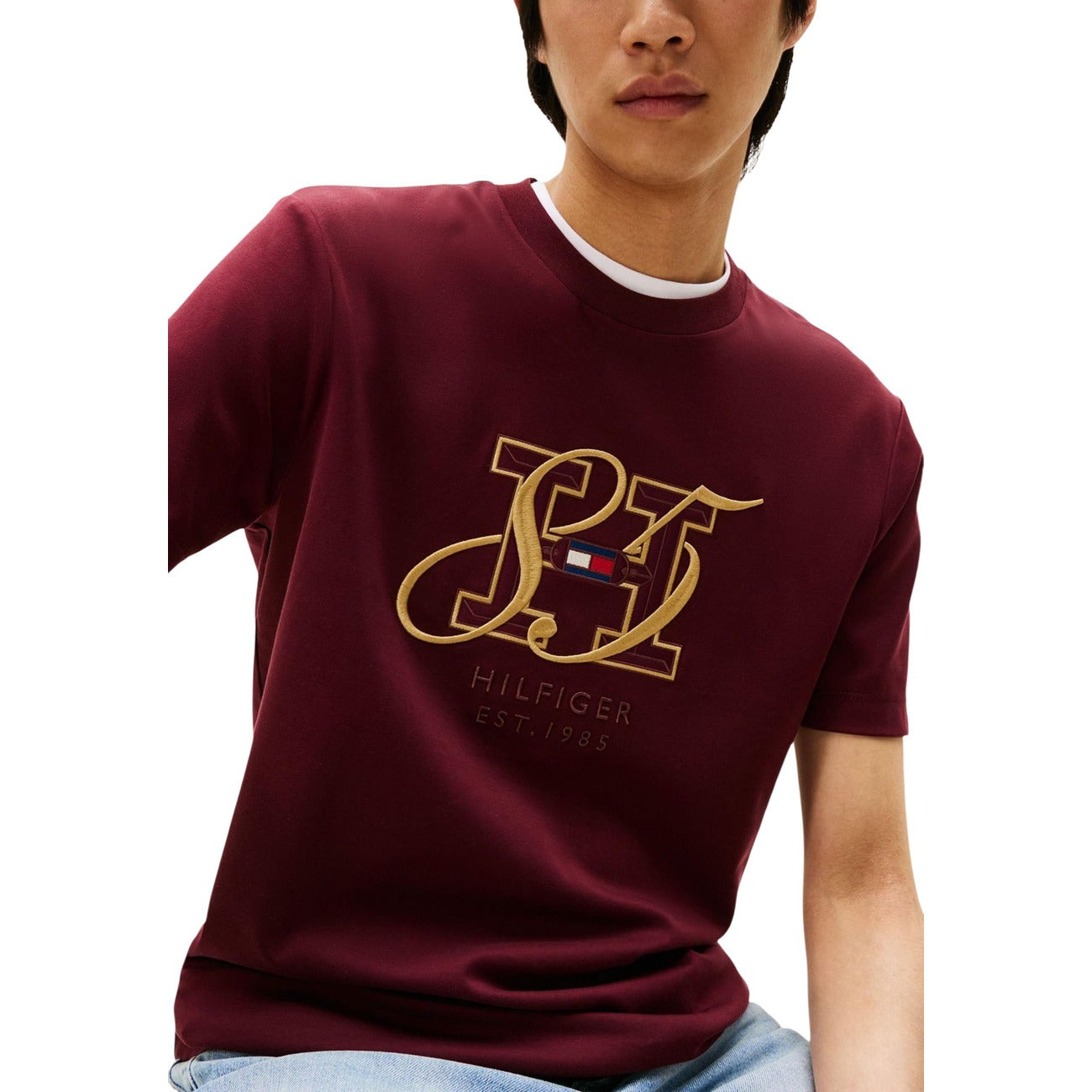Tommy Hilfiger T-Shirt Men