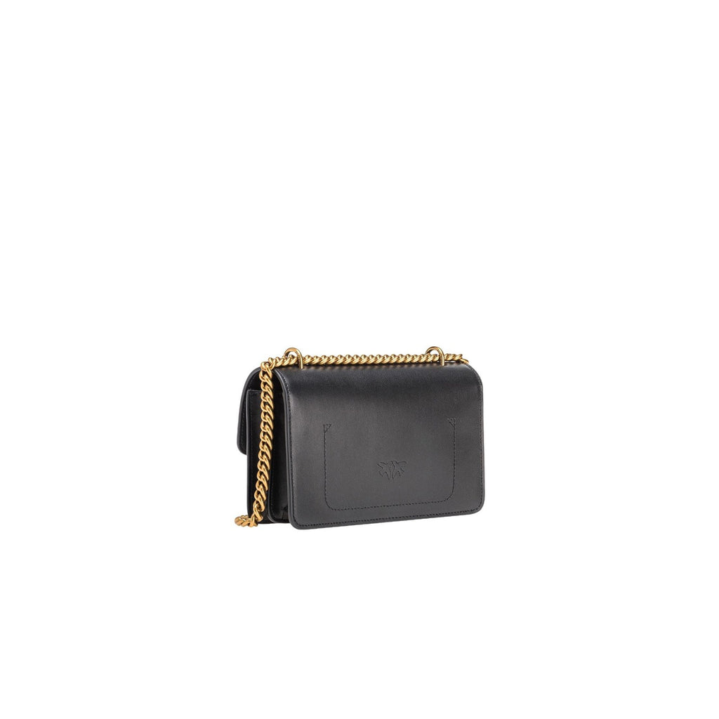 Pinko Bag Women
